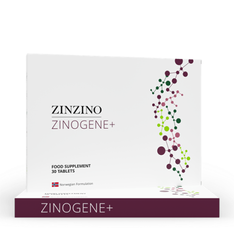 ZinoGene+ Kit