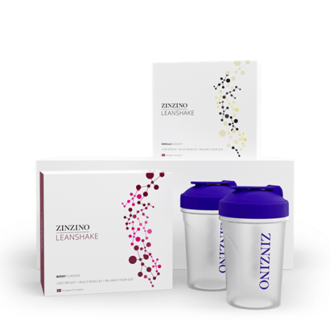 LeanShake Kit x2